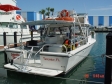 Conch Republic Divers, Conch Republic Divers