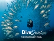 Dive Quest, DiveQuest