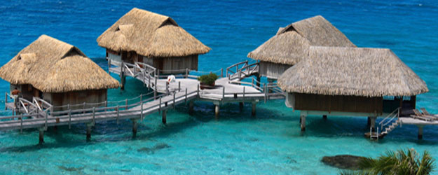Dive Resort Listings