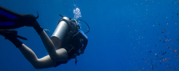 Dive Shop Listings