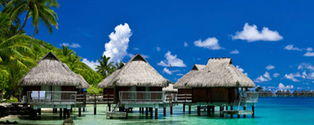 Dive Travel Listings
