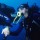 Dive Buddies