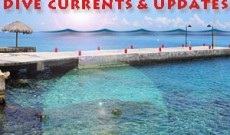 CURRENTS
