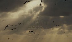 Midway-Video