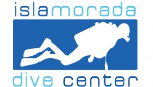 IDC big logo