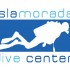 IDC big logo