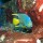Dry Tortugas Spree Expeditions
